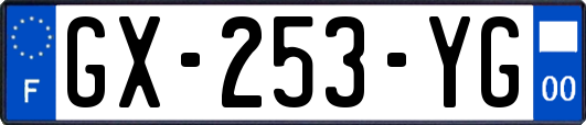 GX-253-YG