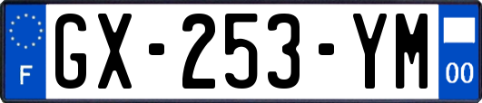 GX-253-YM