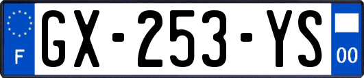 GX-253-YS