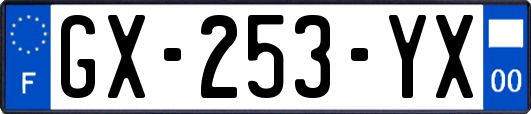 GX-253-YX