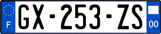GX-253-ZS