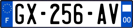 GX-256-AV