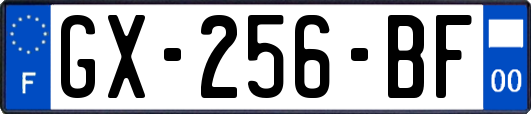 GX-256-BF