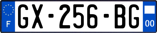 GX-256-BG