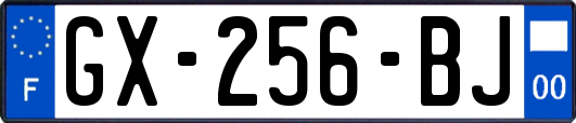 GX-256-BJ