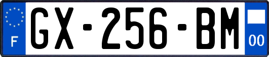 GX-256-BM