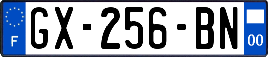 GX-256-BN