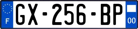 GX-256-BP