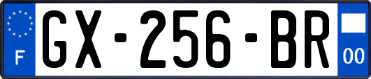 GX-256-BR