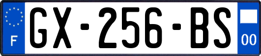 GX-256-BS