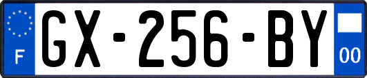 GX-256-BY