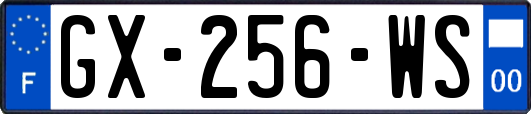 GX-256-WS