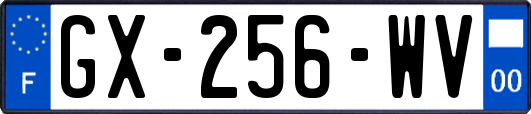 GX-256-WV