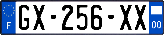 GX-256-XX