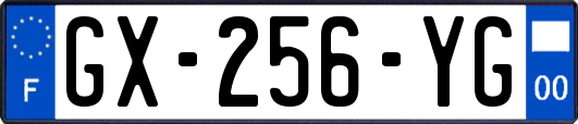 GX-256-YG