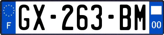 GX-263-BM
