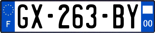 GX-263-BY