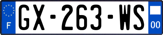 GX-263-WS