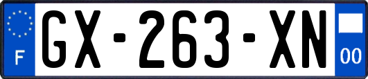 GX-263-XN