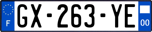 GX-263-YE