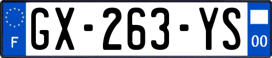 GX-263-YS