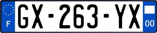 GX-263-YX