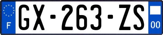 GX-263-ZS