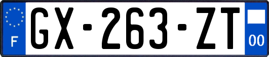 GX-263-ZT