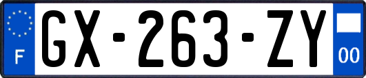 GX-263-ZY