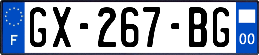 GX-267-BG
