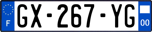 GX-267-YG