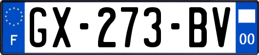 GX-273-BV