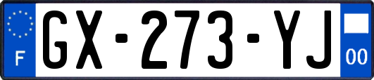 GX-273-YJ