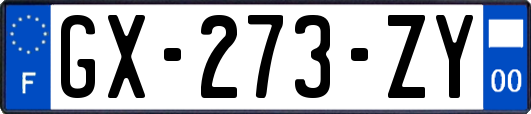 GX-273-ZY
