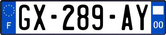 GX-289-AY
