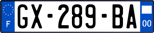 GX-289-BA