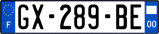 GX-289-BE
