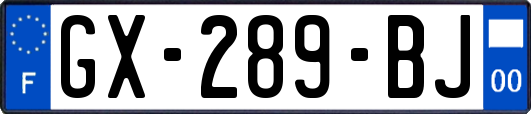 GX-289-BJ