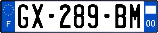 GX-289-BM