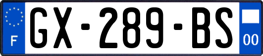 GX-289-BS