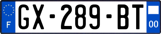 GX-289-BT