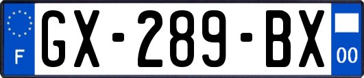 GX-289-BX