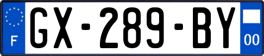 GX-289-BY
