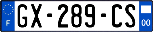 GX-289-CS