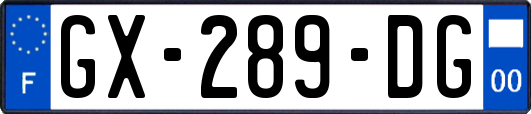 GX-289-DG