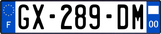 GX-289-DM