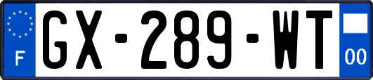 GX-289-WT
