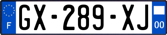 GX-289-XJ
