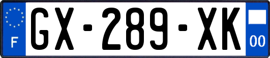 GX-289-XK