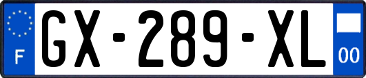 GX-289-XL
